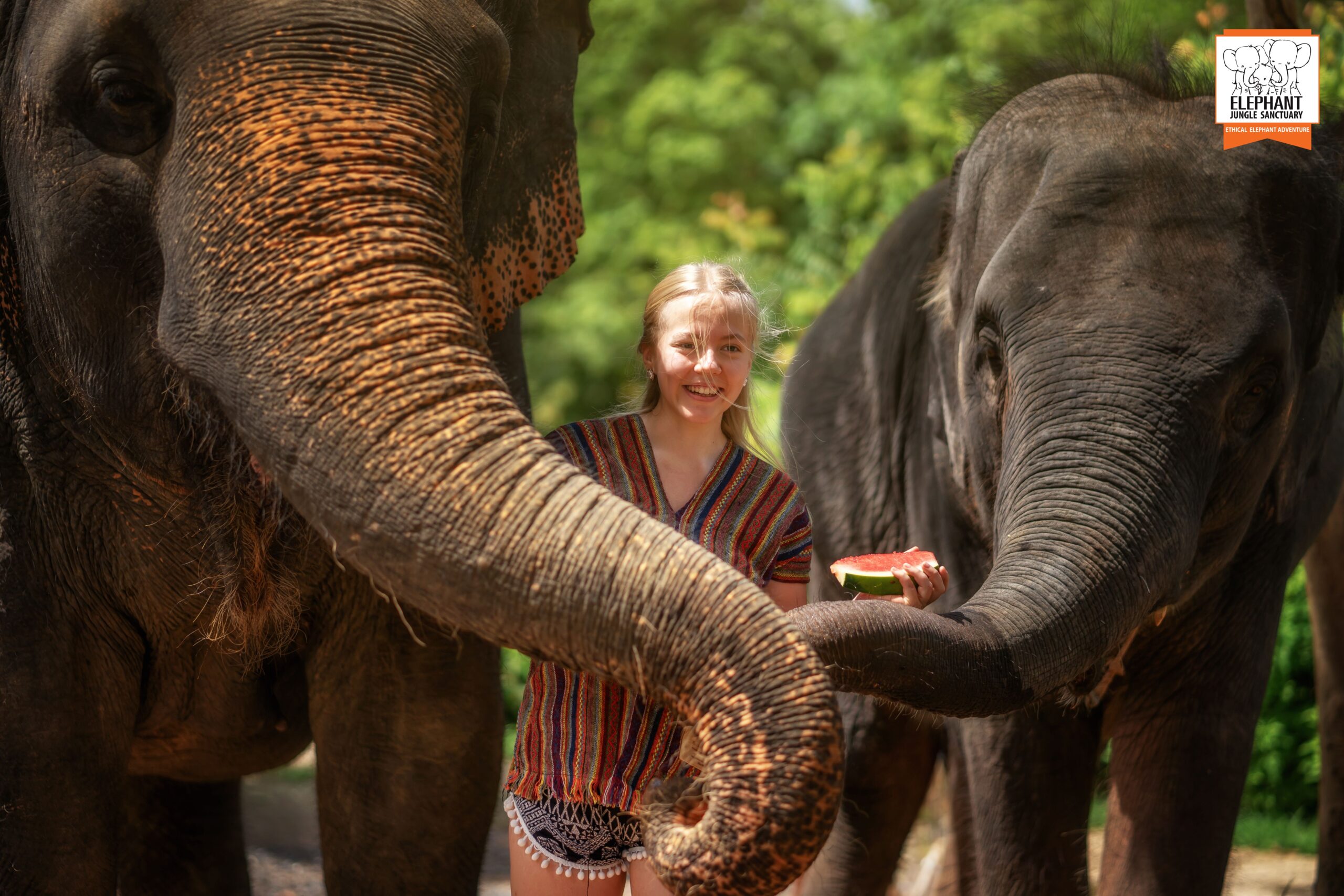 elephant-farm-01