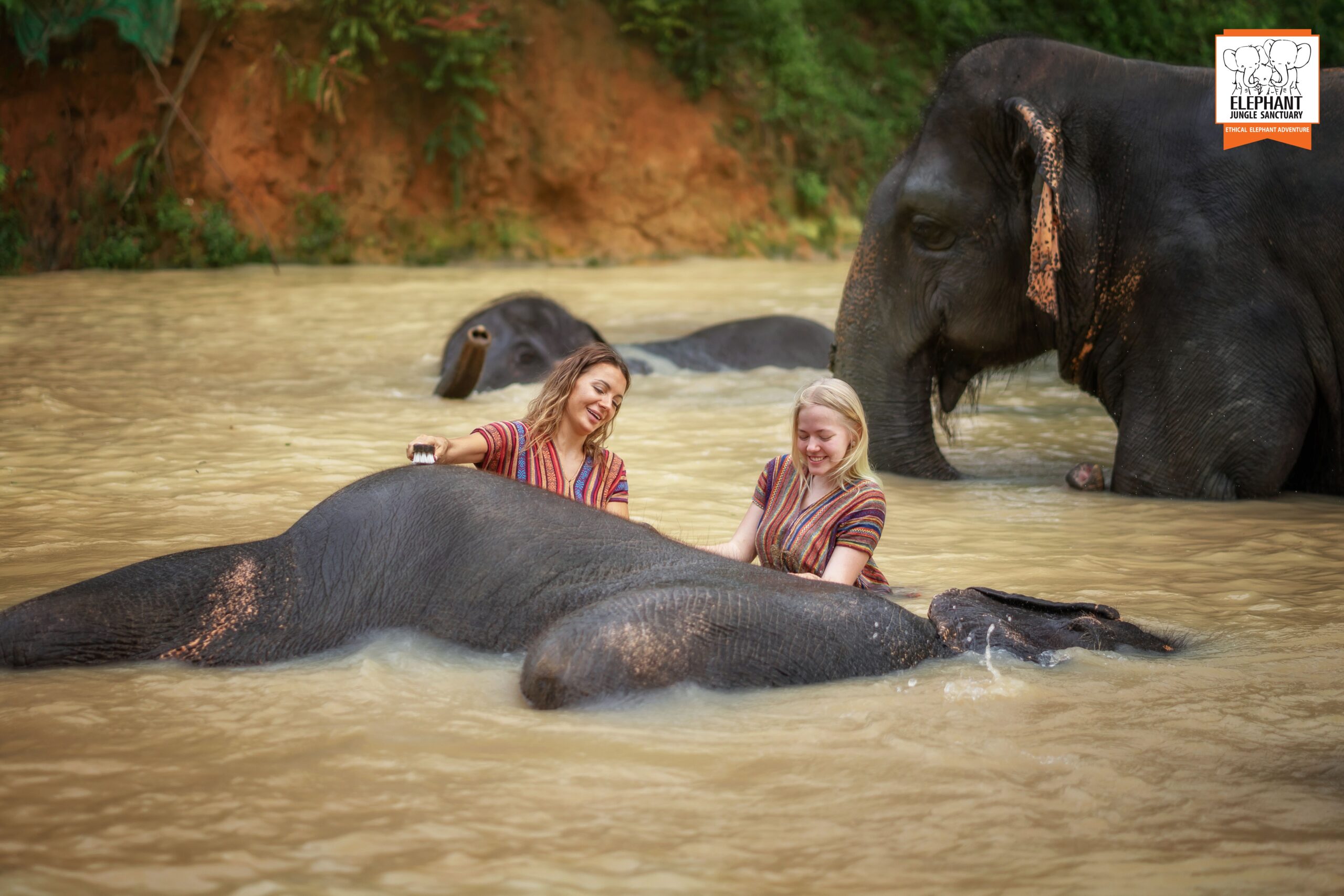 elephant-farm-02