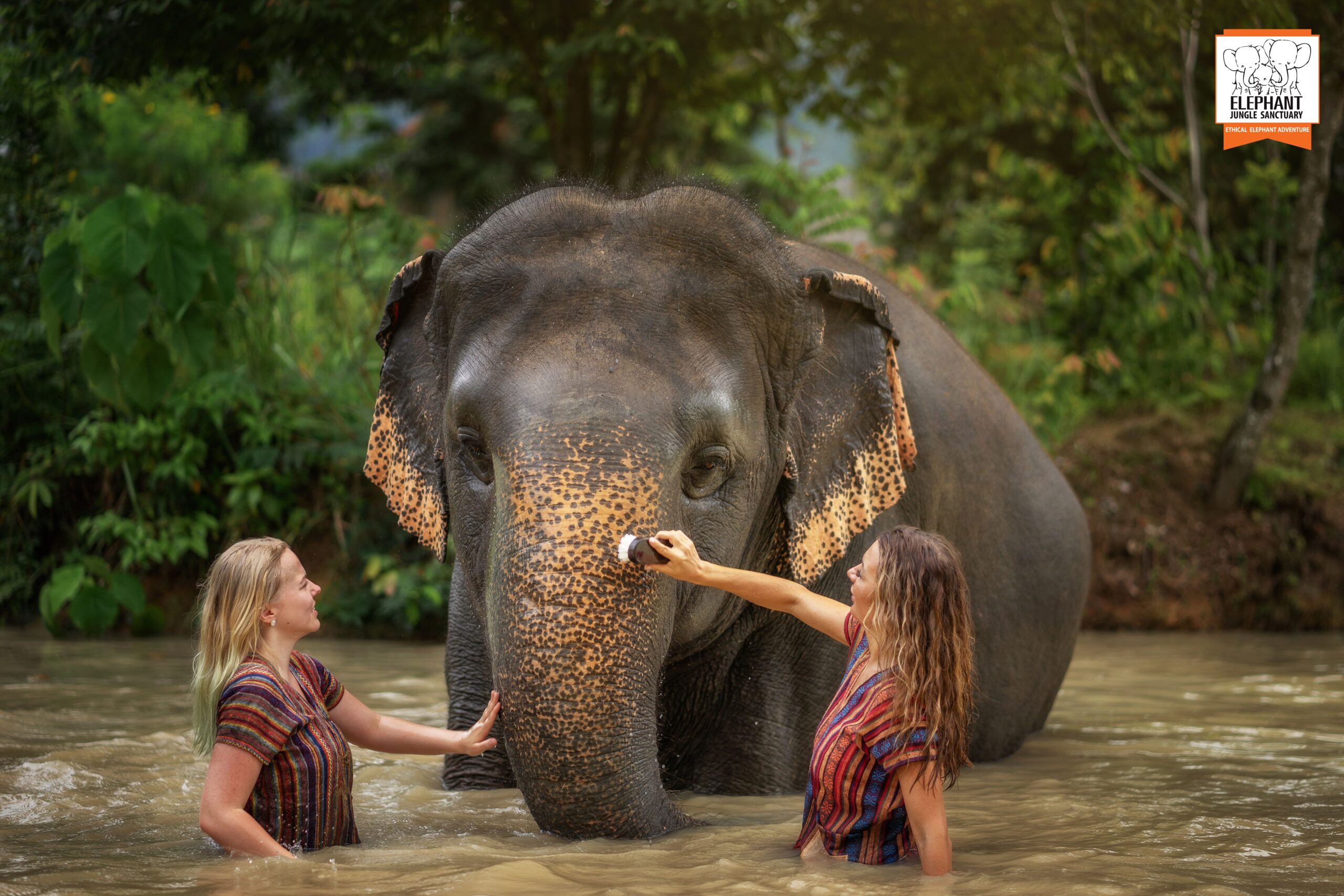 elephant-farm-03
