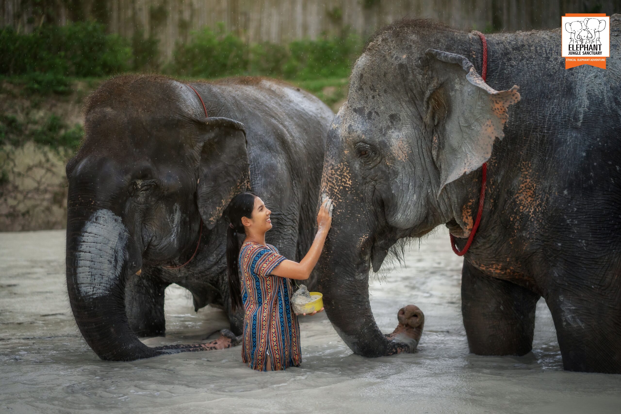 elephant-farm-04