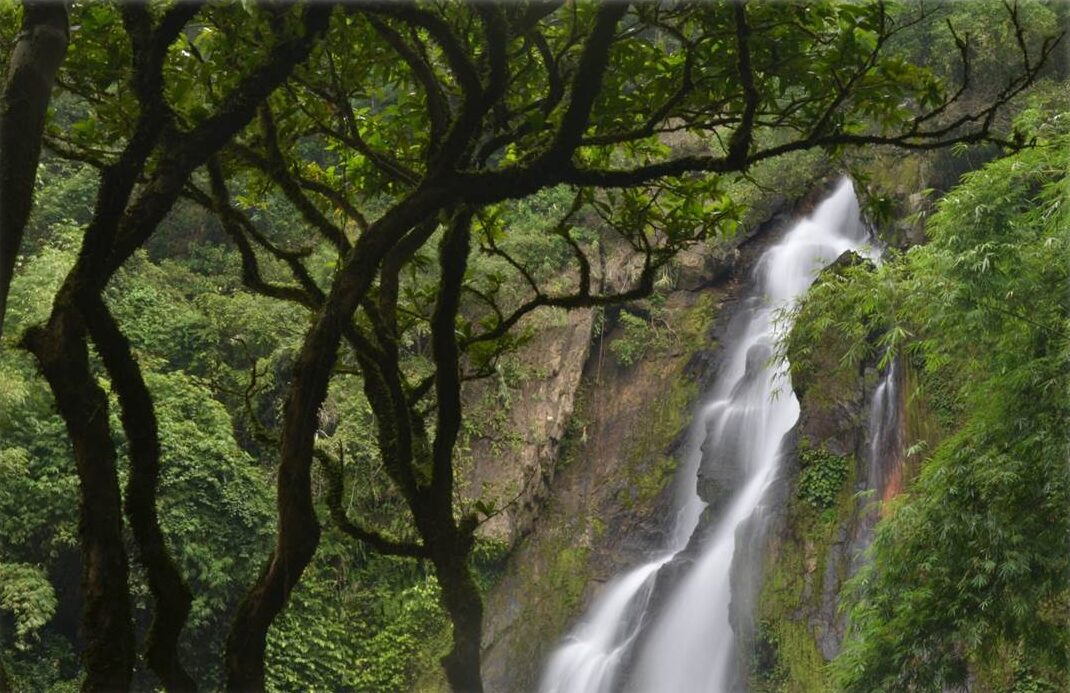 Little Amazon And Tamnang Waterfall