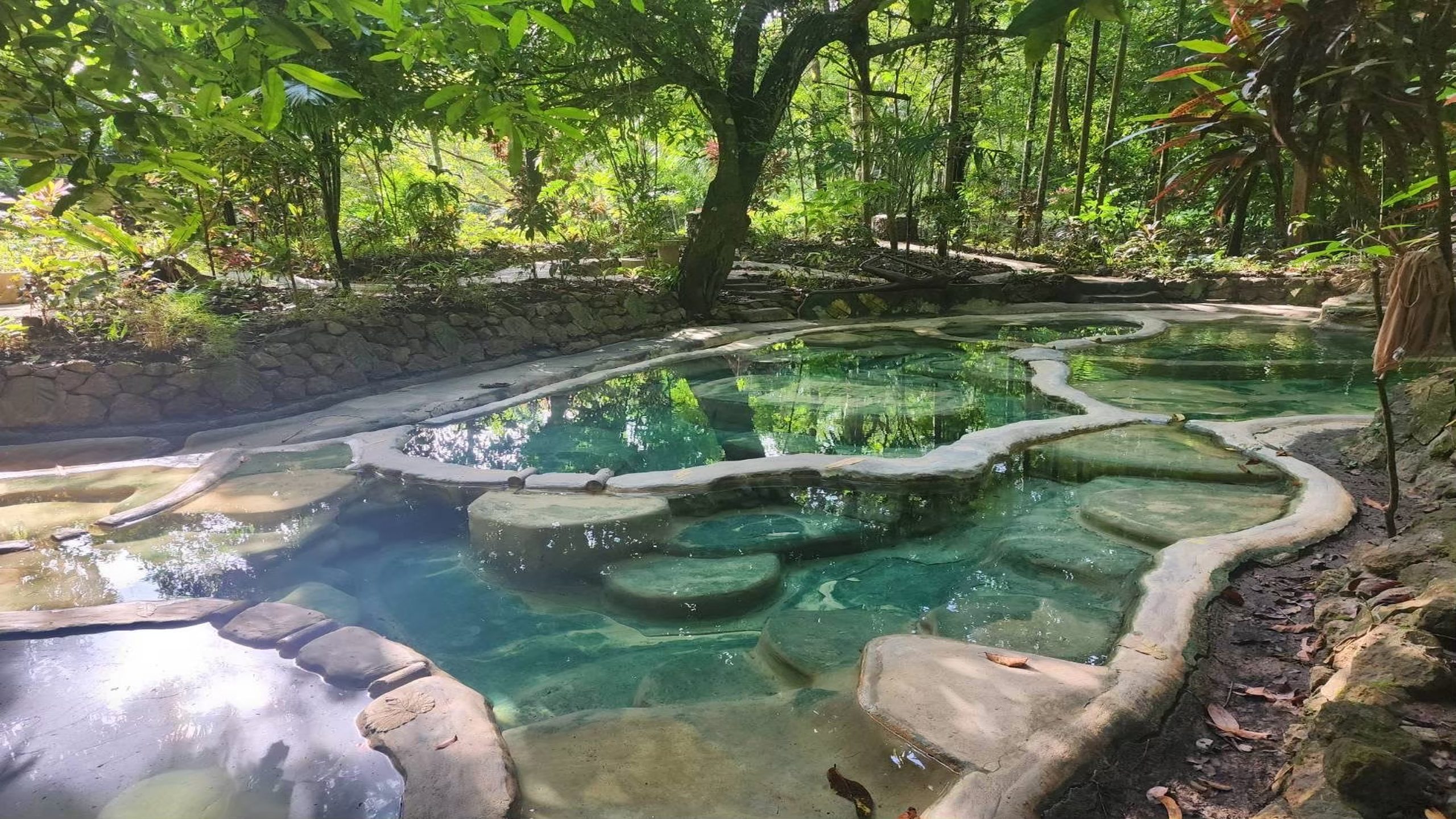 טיול ג'ונגל בקראבי (Rainforest Tour).jpg3