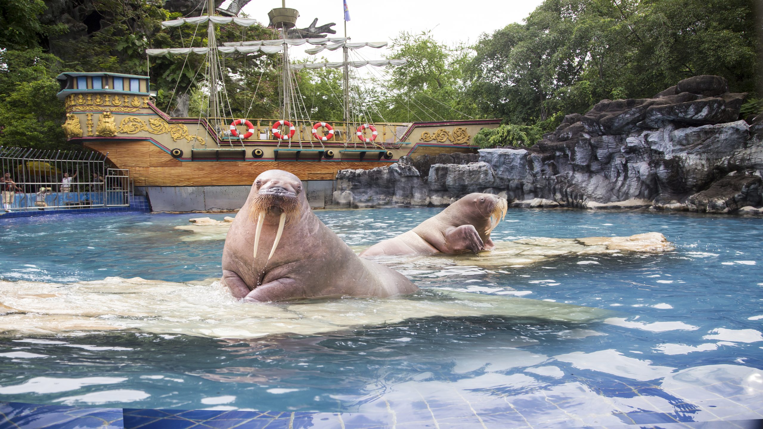 ספארי וורלד בנגקוק (Safari World Bangkok)4