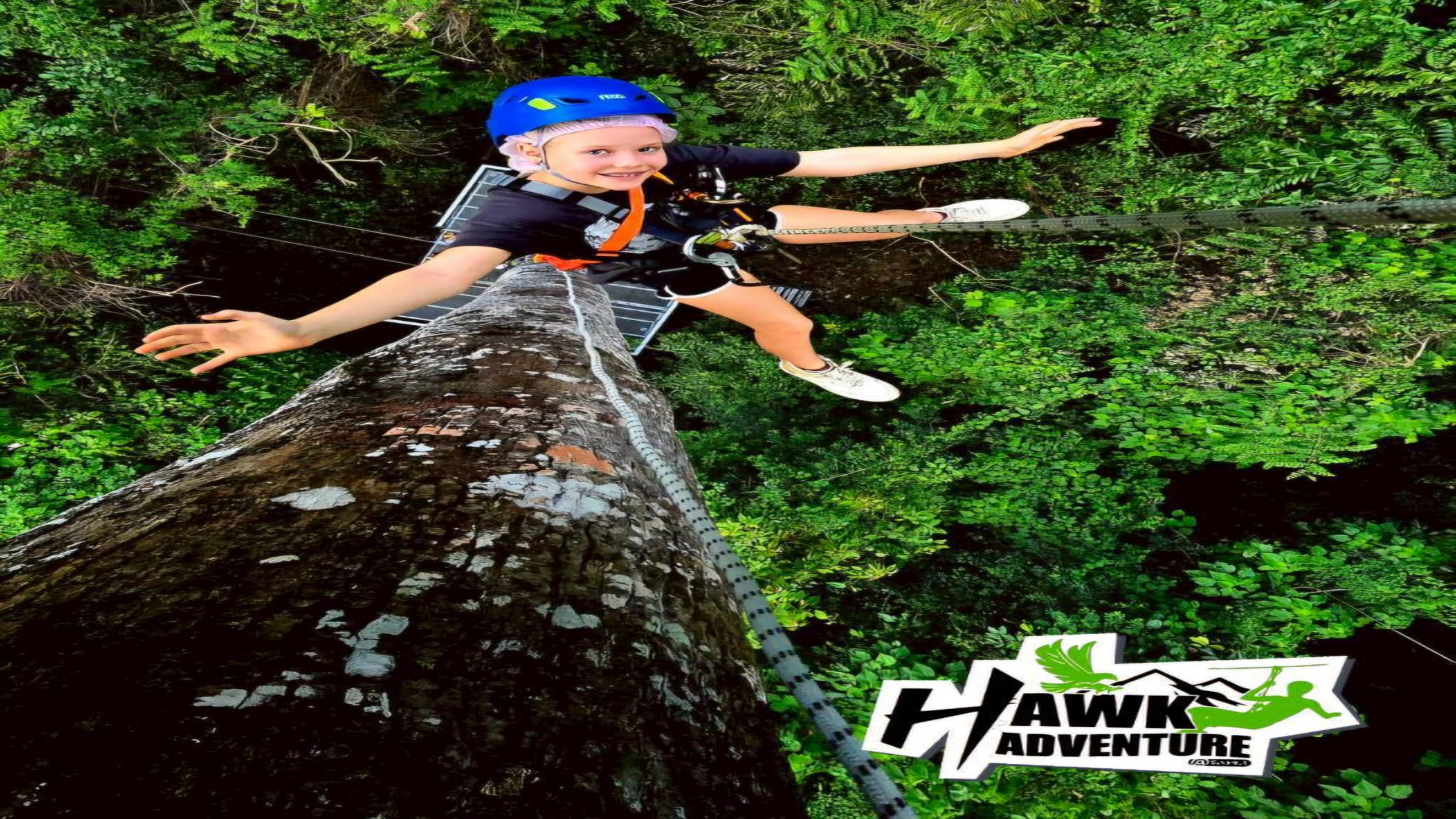 פארק אומגות בקוסמוי (Zipline) 4
