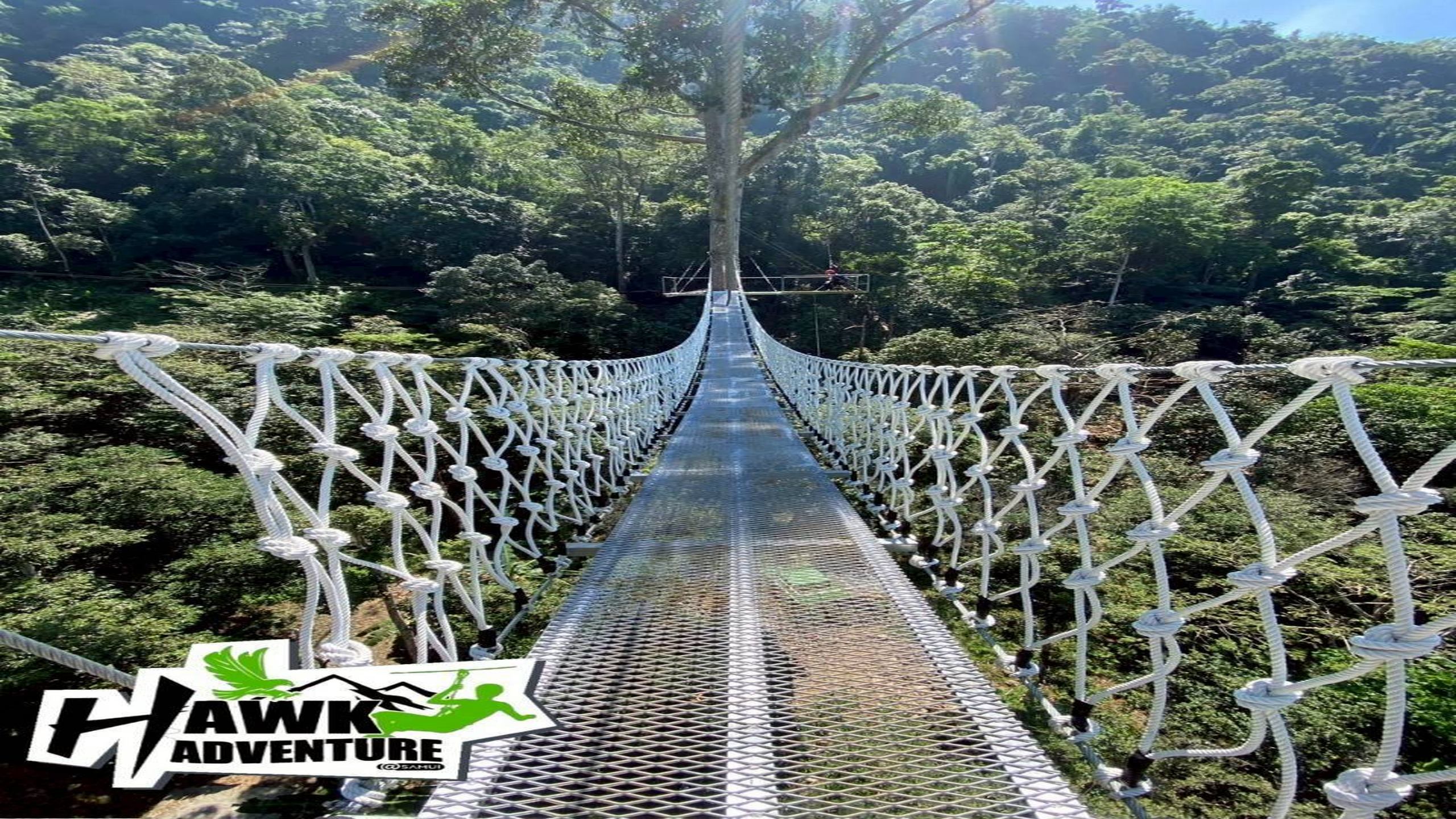 פארק אומגות בקוסמוי (Zipline)3